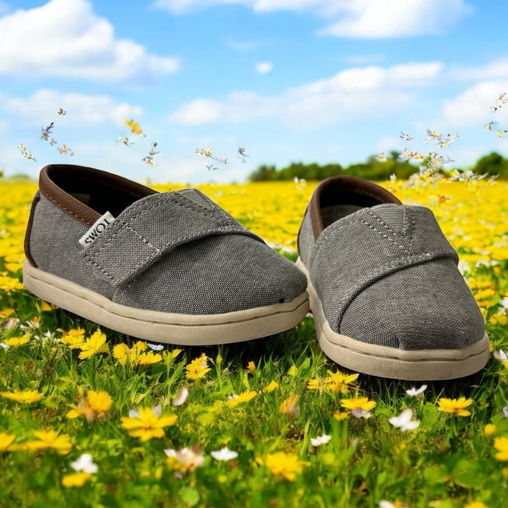 TOMS Alpargata Classic Toddler Drizzle Grey Heritage Canvas Sneaker Shoe